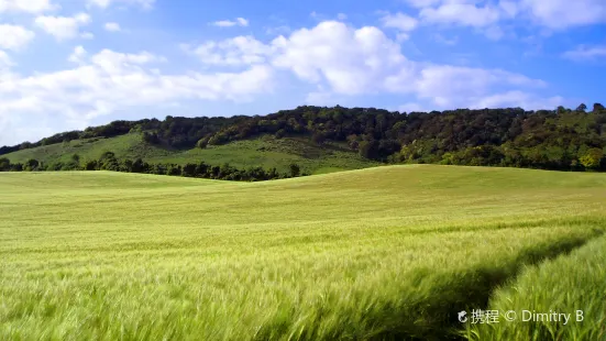 Surrey Hills Area of Outstanding Natural Beauty