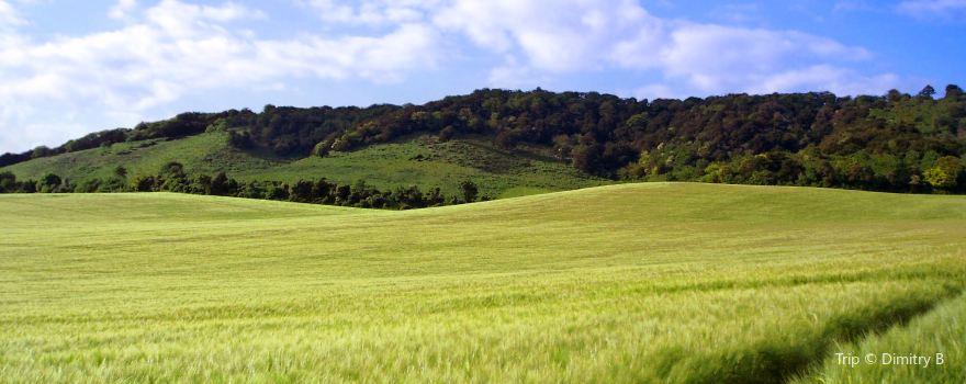 Surrey Hills National Landscape