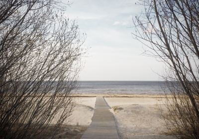 White Dune in Saulkrasti