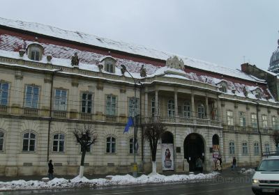 Cluj-Napoca