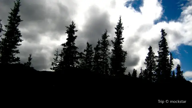 3_Blue Spruce Park