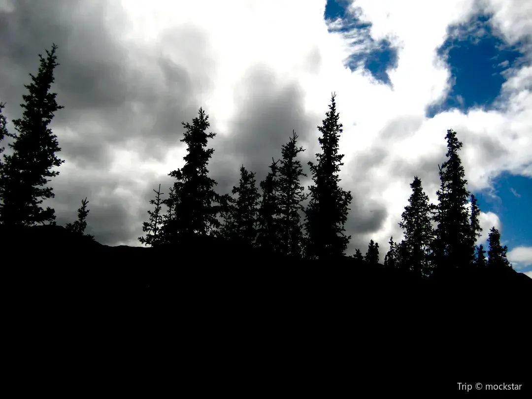 3_Blue Spruce Park