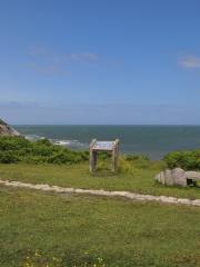 Breakwater Country Park