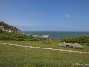 Breakwater Country Park