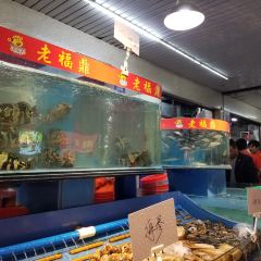 Lao Fu Ding User Photo