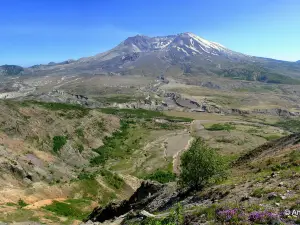 聖海倫斯山國家火山紀念區