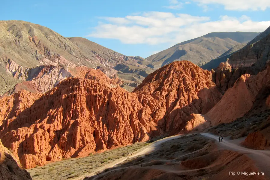 Paseo de los Colorados