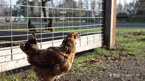 Ardenwood Historic Farm