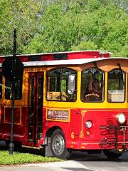 Clearwater Jolley Trolley