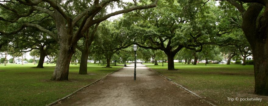 Carolina Wren Park
