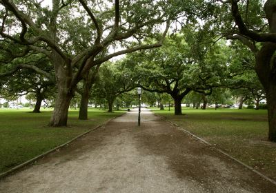 Carolina Wren Park