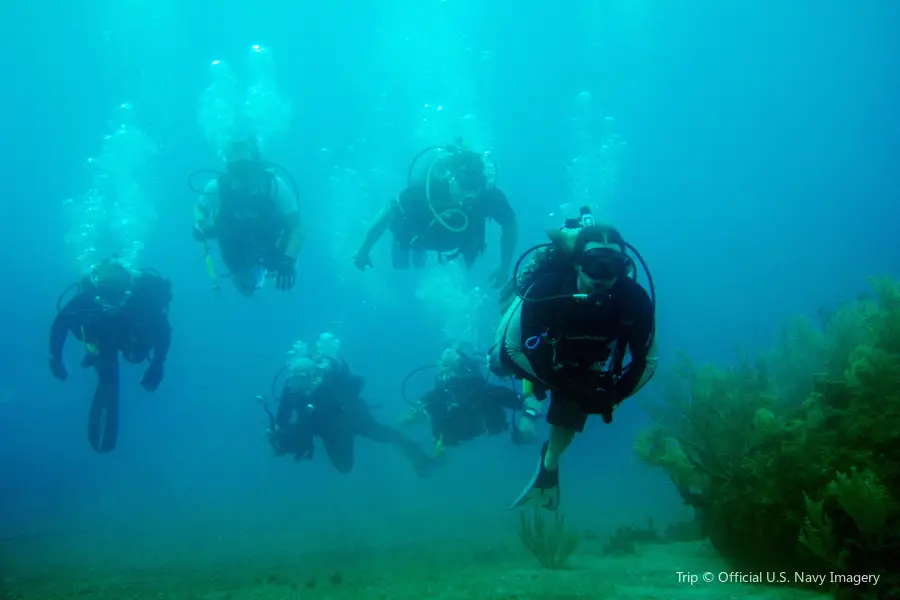 Taino Divers