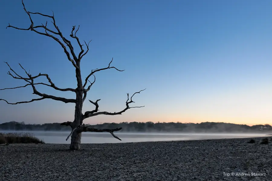 Broad Beach