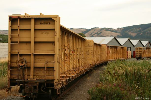 Mount Hood Railroad
