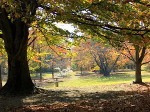 プラスキー郡立公園