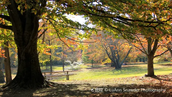 プラスキー郡立公園