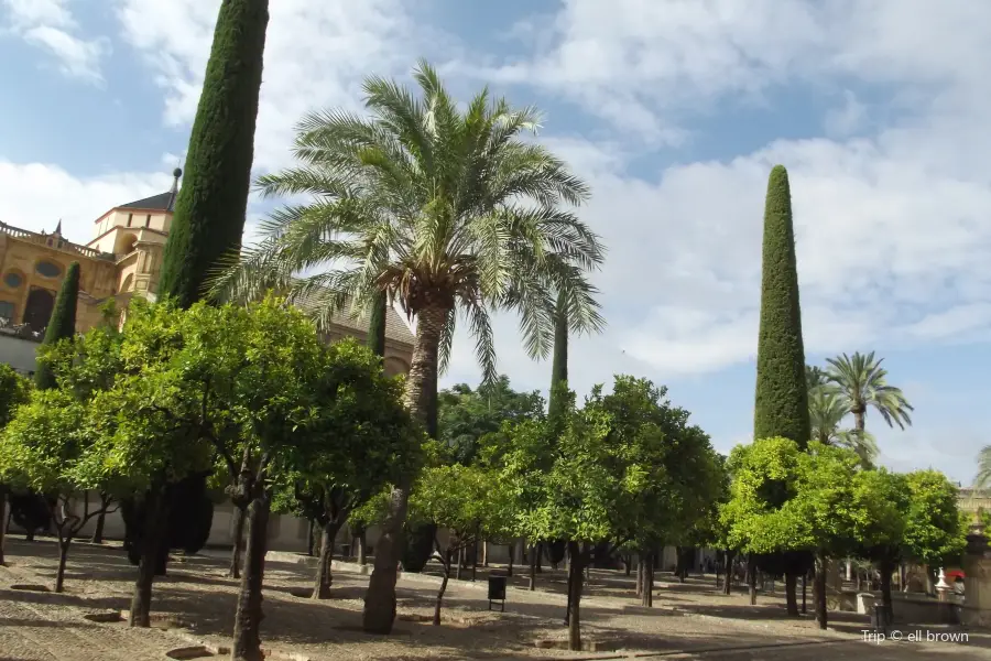 Patio De Los Naranjos