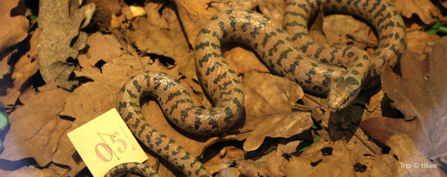 Hudson Highlands Nature Museum
