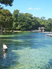 parc d'État d'Edward Ball Wakulla Springs