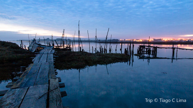 Cais Palafitico do Porto da Carrasqueira