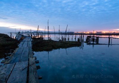 Cais Palafítico do Porto da Carrasqueira