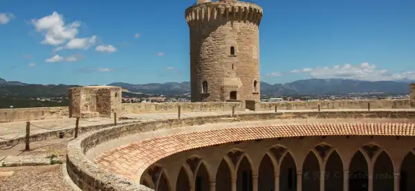 Comarca de Palma