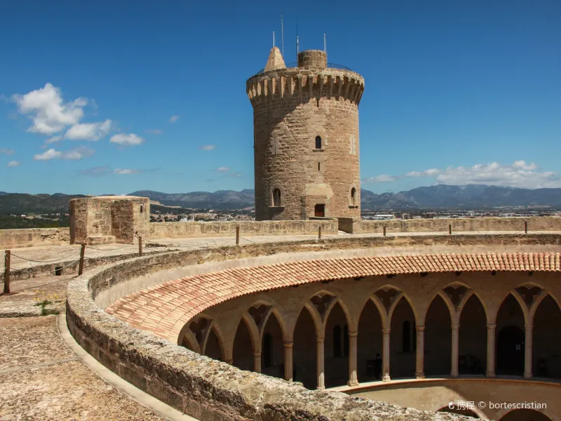 Comarca de Palma