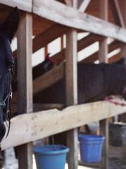 Smoky Mountain Riding Stables Hay Shed