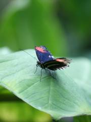 Museum of Life and Science