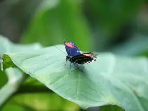 Museum of Life + Science