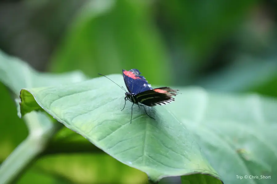 Museum of Life and Science