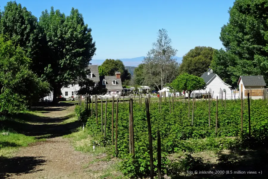 Riley's Apple Farm