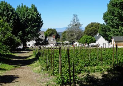 Willowbrook Apple Farm