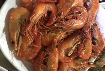 元春堂張用戶圖片