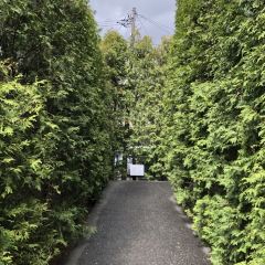 Liuhuating (wulengguo) User Photo