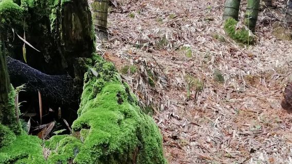 Eighteen Arhats Tourist Attraction