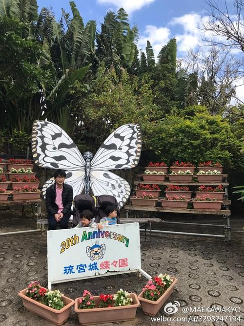 琉宮城蝴蝶園旅遊攻略指南 琉宮城蝴蝶園評價 琉宮城蝴蝶園附近推薦 Trip Com