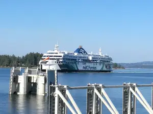 Swartz Bay Terminal