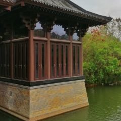 中海湯泉酒店·東坡館張用戶圖片