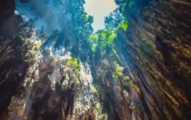 Up Town Mines Wonderland