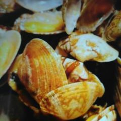 YI QING HUI User Photo