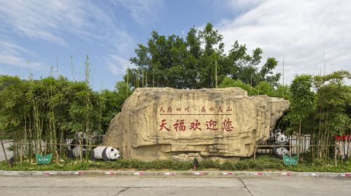 Tianfu Sightseeing Tea Garden