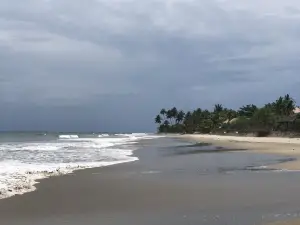 Beach View Restaurant