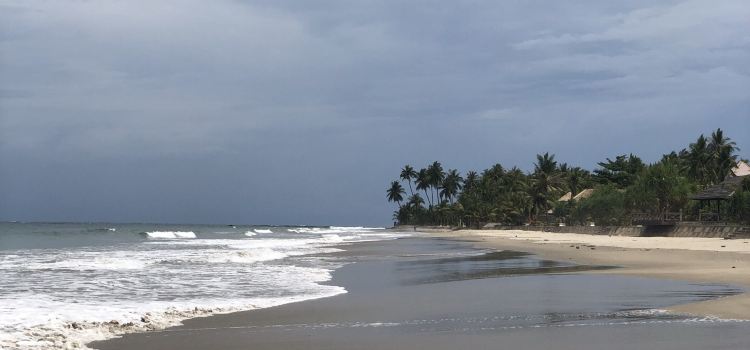 Beach View Restaurant