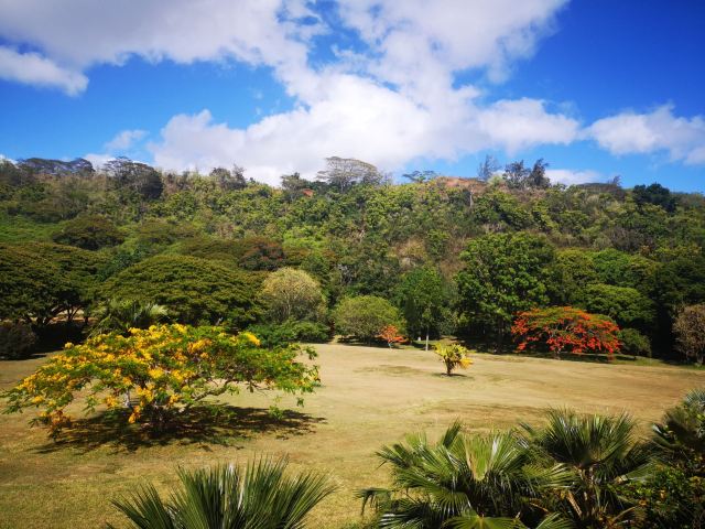 National Tropical Botanical Garden