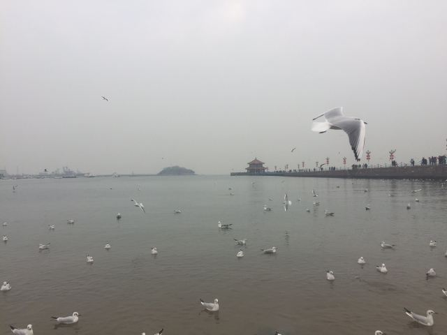 Zhanqiao Pier