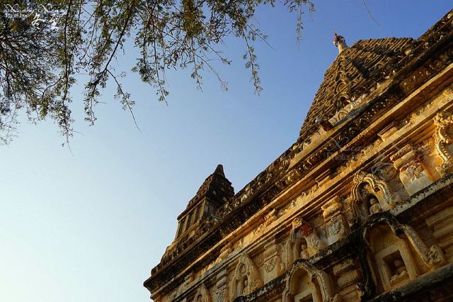 Mahabodhi Paya