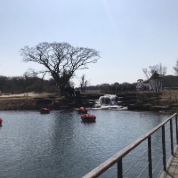 評論圖片 7