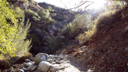 Eaton Canyon Falls Trail