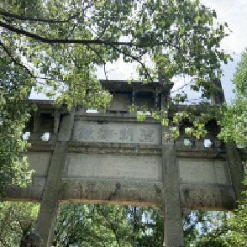 評論圖片 9